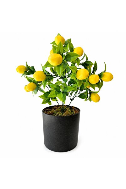 SOLUTİO Saksılı Dekoratif Yapay Limon Ağacı