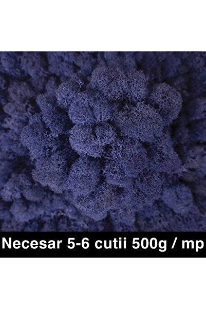 Roberto Rossi Licheni curatati si fara radacina conservati 500g NET, calitate...