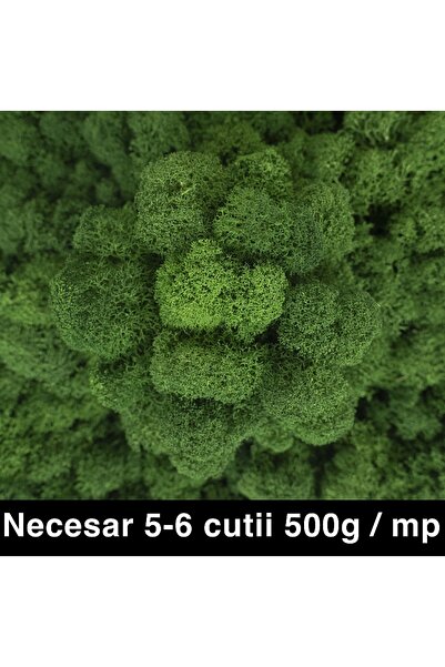 Roberto Rossi Licheni curatati si fara radacina conservati 500g NET, calitate...