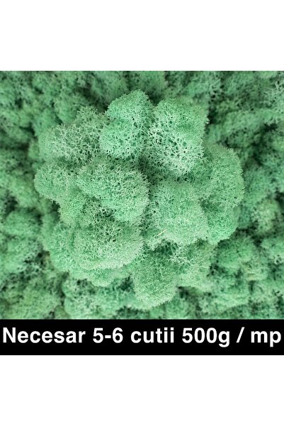 Roberto Rossi Licheni curatati si fara radacina conservati 500g NET, calitate...