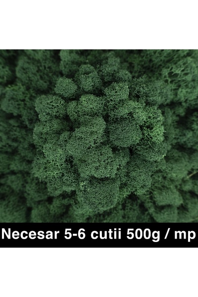 Roberto Rossi Licheni curatati si fara radacina conservati 500g NET, calitate...
