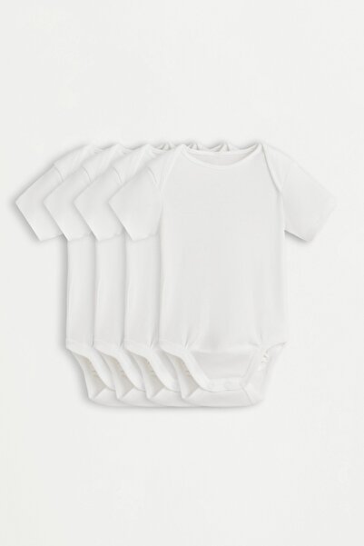 Solid Color Body (4-Pack)