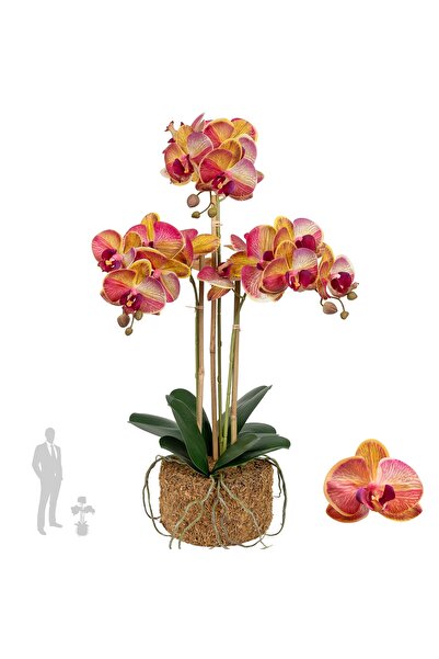Roberto Rossi Orhidee artificiala grena cu galben cu aspect H61 cm cu 3 tulpini
