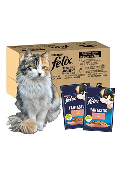 Other Felix Fantastic hrană pentru pești 120x85g