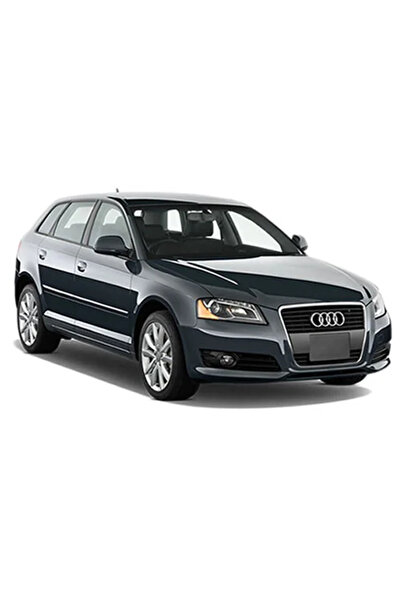 CARMAT Audi A3 8P Sportback 2005-2012 Oto Paspas - Elmas Doku Havuzlu EVA Takım