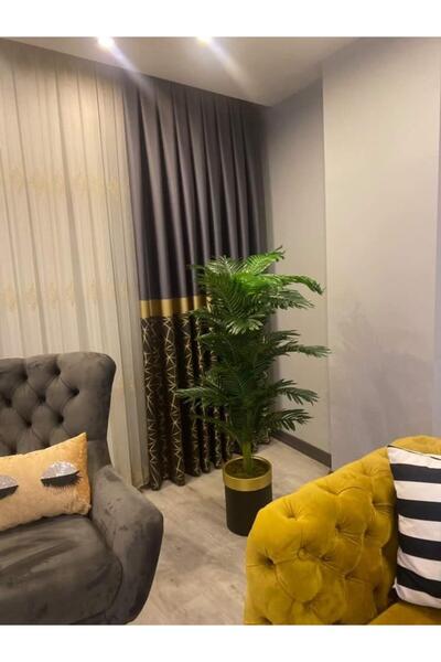 İremÇiçekçilik Siyah Gold silindir saksıda Yeni Areka - 160 cm