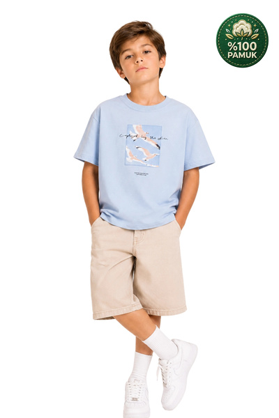 Divonette Boy's Basic Short Sleeve 100% Cotton Comfortable Blue T-Shirt with Seagull Appliqué Embroidery Detail