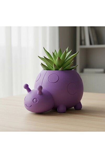 OEM Ghiveci Decorativ Tip Buburuză pentru Plante Mici și Suculente