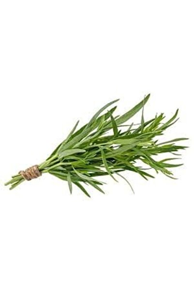 Bahçeiçi TARHUN 40GR