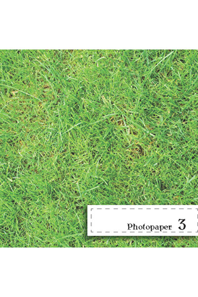 Not Applicable Hârtie foto verde 320x477 mm