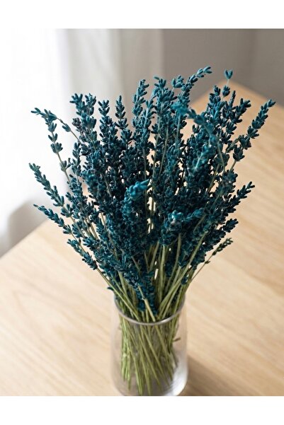 Rosess Shocked Resistant Non-Shedding Durable Blue Real Lavender Bunch - Arra...