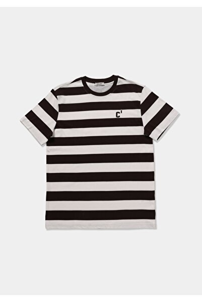 Colin's Regular Fit Round Neck Striped Men's Brown Short Sleeve T-Shirt
