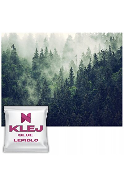 Naklejkomania Fototapet Modern Pentru Peretele Camerei De Zi, Padure In Ceata...