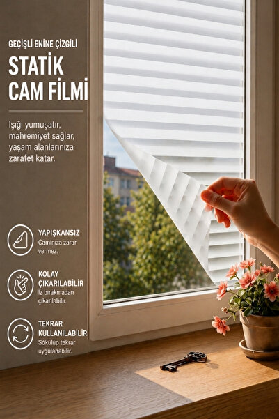 Deconitte Statik Zebra Desenli Buzlu Cam Filmi Yapışkansız 60x100cm, Geçişli ...