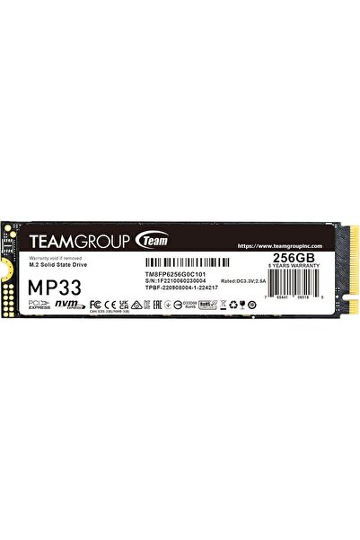 team group قرص تخزين داخلي من نوع Teamgroup MP33 بسعة 256 جيجابايت، M.2 PCIe ...