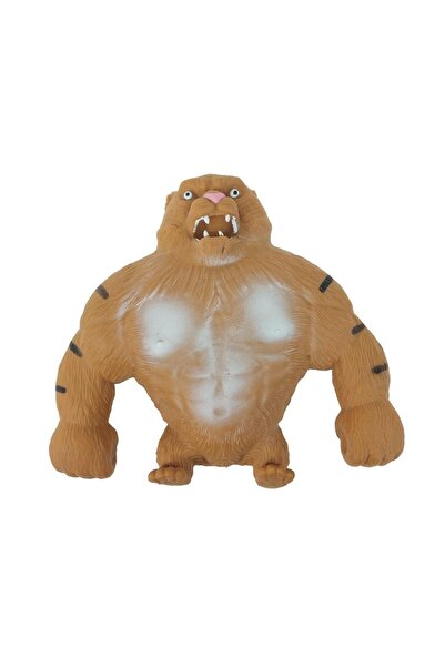 adar Tigrul se sfărâmă 2 kg