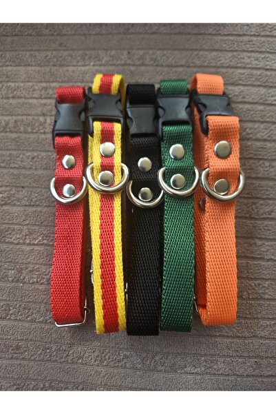 Loyal Friend Store Köpek tasma ufak ırklar için 5li set