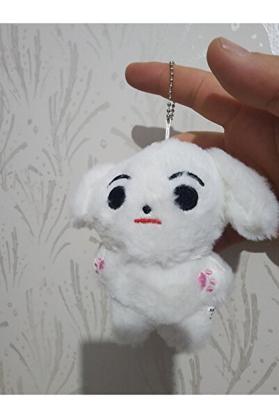 PEPİKON Kpop Enhypen Plush Keychain 10cm with Surprise Gift