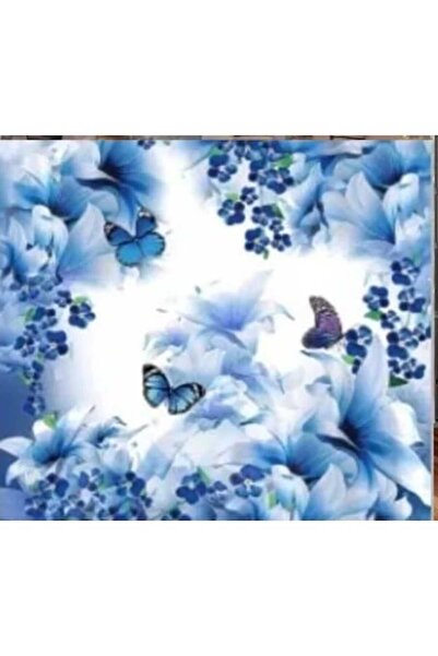 OEM Fundal fotografic M31, 2.5 x 2M