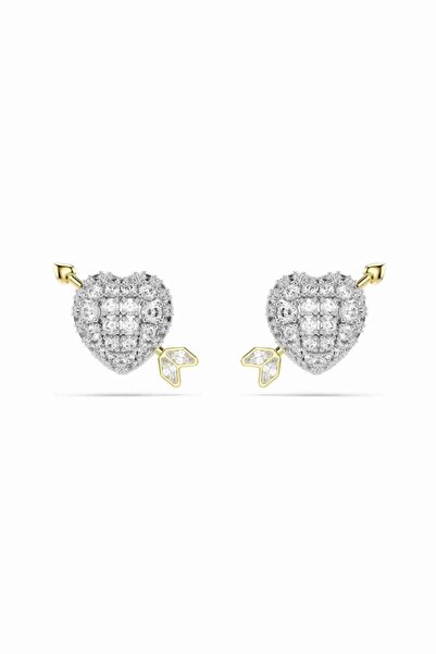 Charmist Steel Special Collection Ldylia Heart Earrings