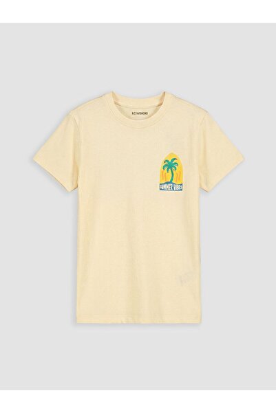 LC Waikiki Crew Neck Printed Boy's T-Shirt