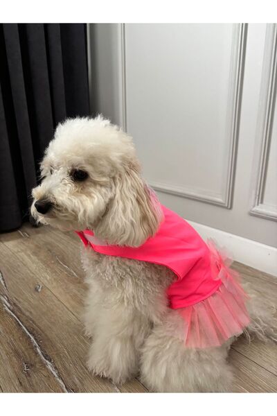 KÖPEK ELBİSESİ