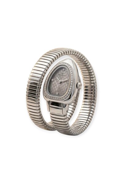 Clarity Clarity Women's Watch Silver Color Snake Shape