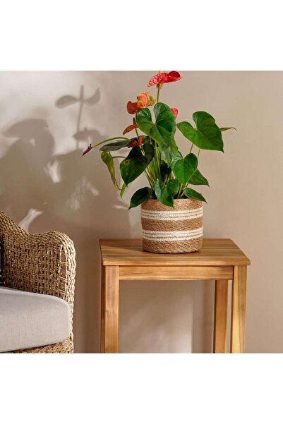 PAN HOME Reina Sea Grass Planter D17xh18cm - Natural