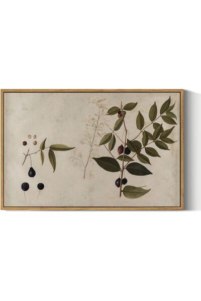 ALAYRA International Large Canvas Wall Art 60x80 cm with Outer Frame Vintage ...