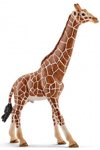 SCHLEICH Ζώα Καμηλοπάρδαλη (SCH14749)
