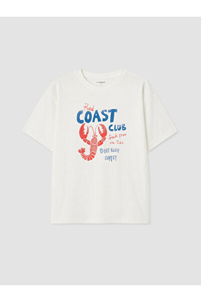 LC Waikiki Vizyon New Season Crew Neck Printed Boys' T-Shirt