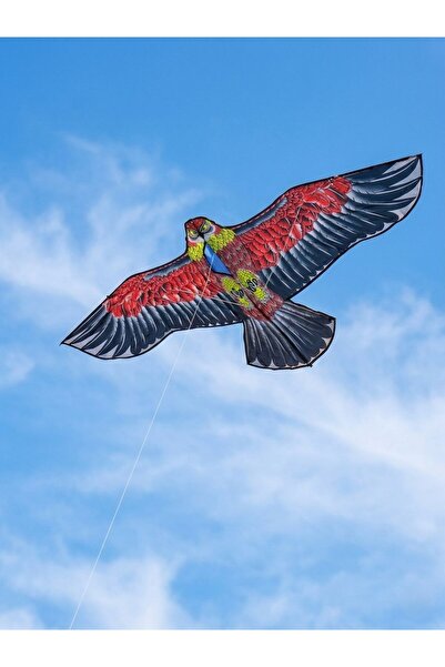 Makro Optik Kartal Uçurtma 170x60cm Büyük Boy (İpi Dahildir)
