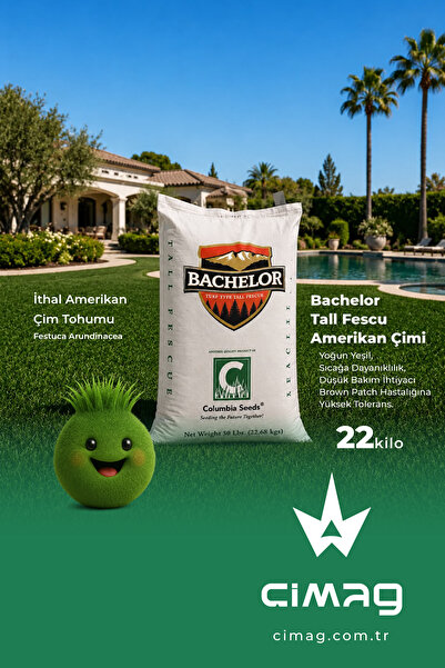 Amerikan Çimi Bachelor (Festuca Arundinacea) İthal Çim Tohumu - 22 Kilo