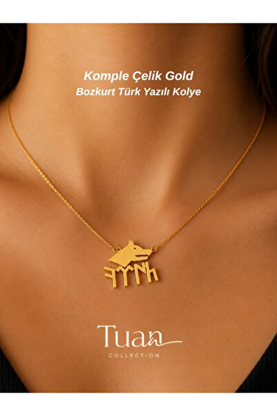 Tuan Collection Complete Steel Turkish Written Bozkurt Symbol Necklace Steel ...