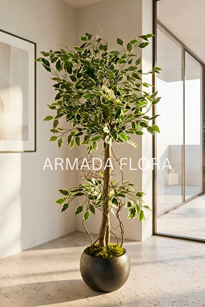 Armada Flora Yapay Benjamin Starlight Ağacı 120 Cm 27*33 Küre Saksılı