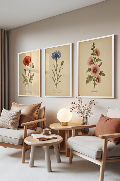 Zestia Set de 3 tablouri cu ramă albă, ilustrație botanică elegantă cu flori ...