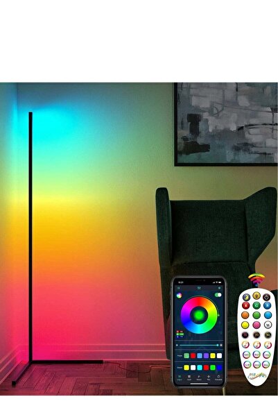 RAXOOM مصباح أرضي زاوية، مصباح زاوية متغير الألوان RGB