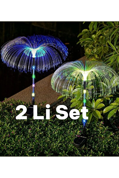 lstri 2 Li Set Bahçe Soları Açık Hava Güneş Enerjili LED Fiber Optik Çiçek De...