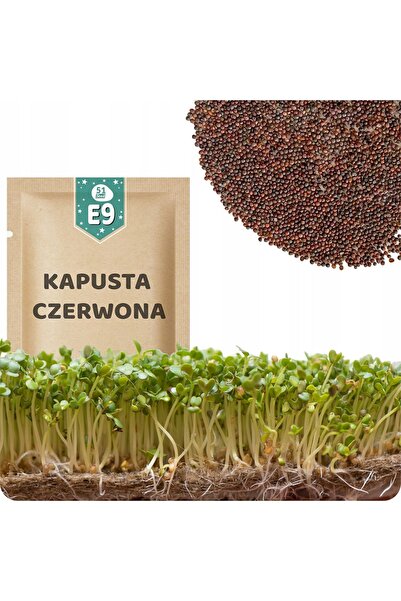 Other 51Seed E09 SEMINȚE DE GERMINAT - VARZĂ ROȘIE 10G