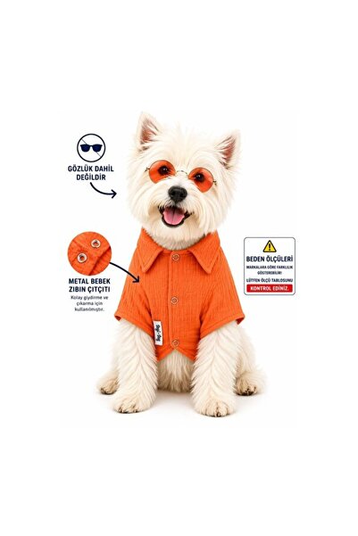 Empressco Summer Orange Cat and Dog Shirt, 1-10kg, Comfortable and Lightweigh...