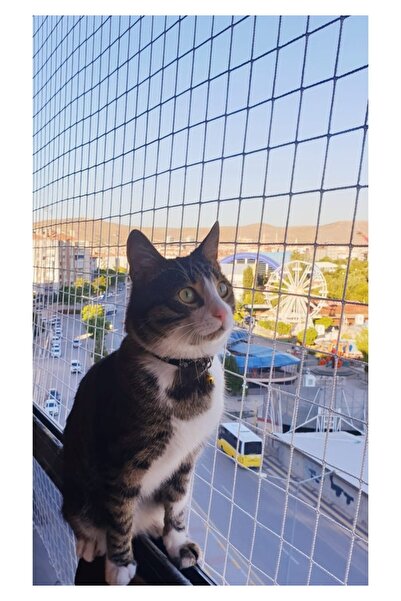 KONAK FİLE Kedi filesi, Hayvan koruma filesi 2.5metrex2metre