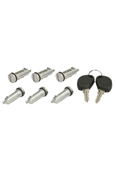 akusan Set Butuci Usa (2 Chei si 6 Inserturi; pentru Comutatorul de Aprindere...