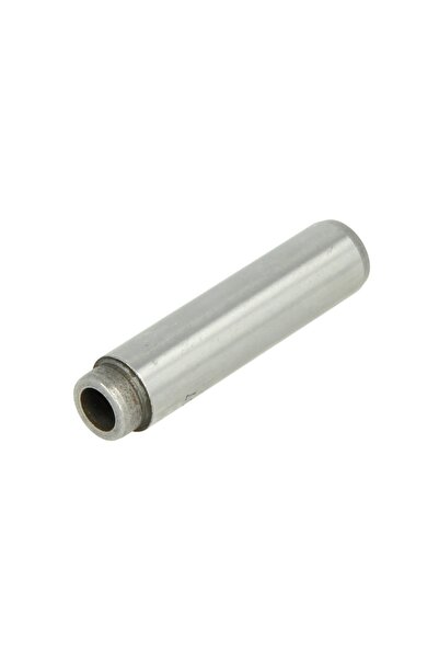 TRW Ghid de Supape (aspiratie) Mercedes Vario Vario (b667 B670 B668) Vario (b...