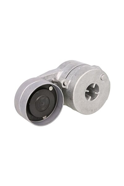 SKF Intinzator Curea Accesorii Mercedes Axor Citaro 2 Citaro (o 530) Conecto ...