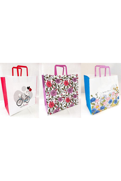 OEM Punga hartie Fresh multicolor 32x30x15cm set