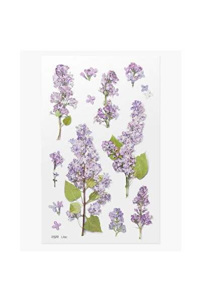 APPREE Autocolante/Stickere decorative Kwiaty Bez, realiste, din PET, 93x154 ...