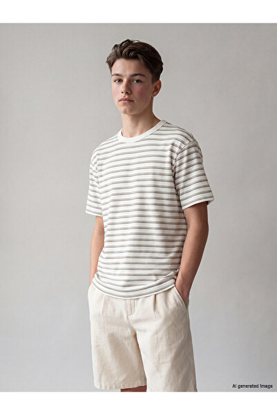 LC Waikiki Vizyon New Season Crew Neck Striped Boys' T-Shirt