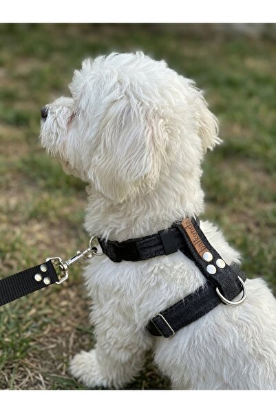 balkonda Dog Chest Harness H Type Adjustable for Small and Tiny Breeds Denim ...
