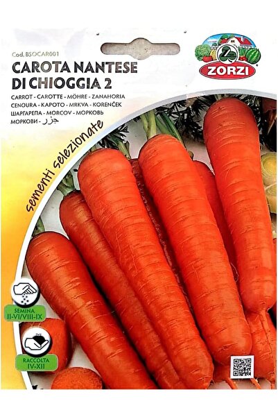 GENERAL Carrot Seeds 5pact