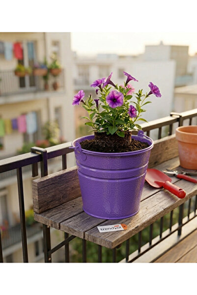 ÖZHEMMEKLER 5'li Metal Saksı Seti - Masaüstü ve Balkon Dekoratif Metal Saksı (18x13x15)